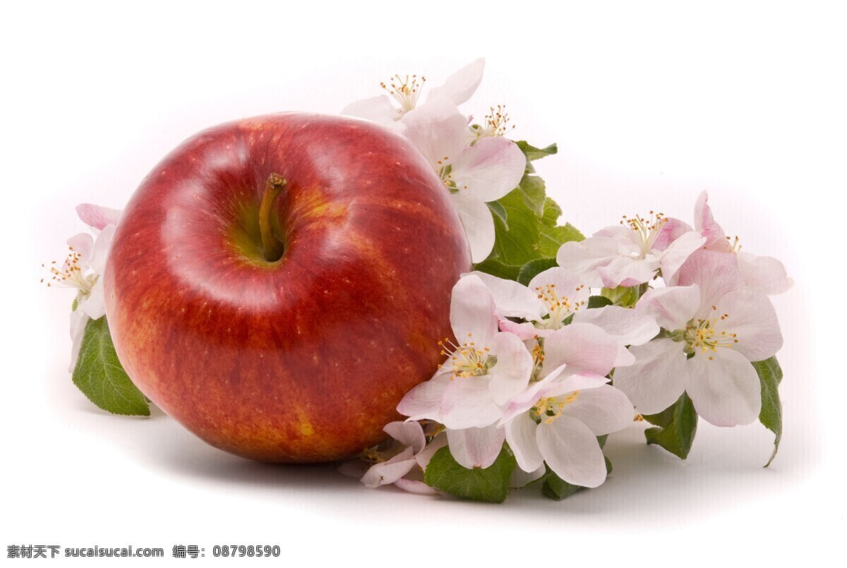 苹果 水果 红苹果 成熟的苹果 香脆 蛇果 超市水果 红富士 脆 甜美 多汁 生物世界