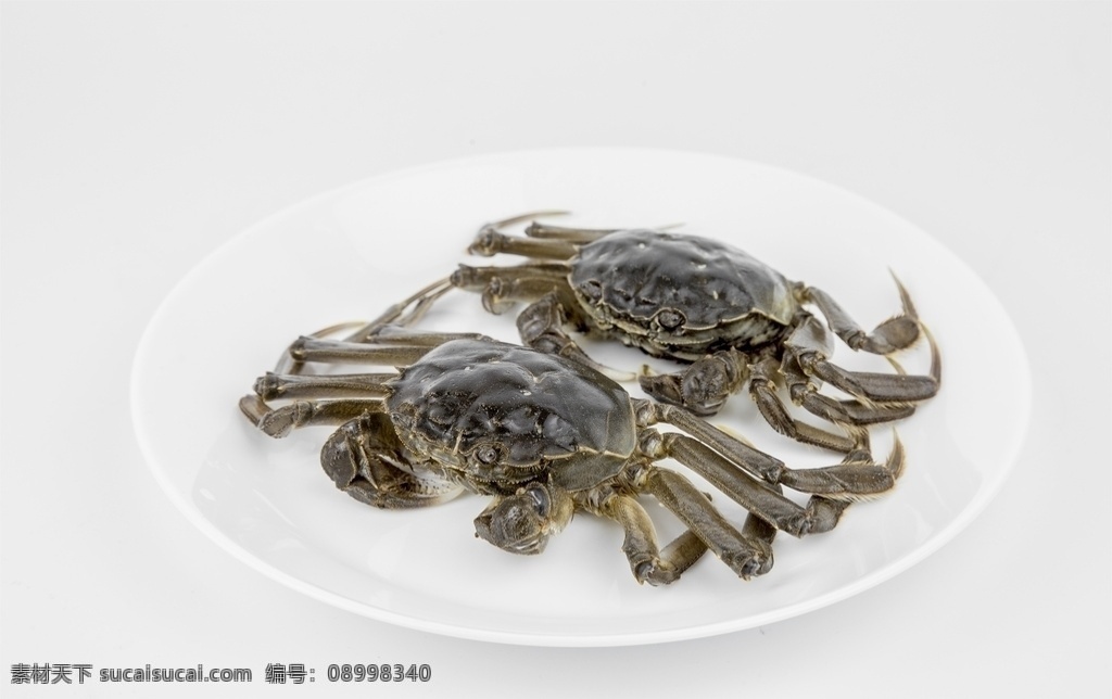 大闸蟹图片 大闸蟹 螃蟹 肉蟹 膏蟹 清蒸螃蟹 阳澄湖 阳澄湖闸蟹 美味大闸蟹 餐饮美食