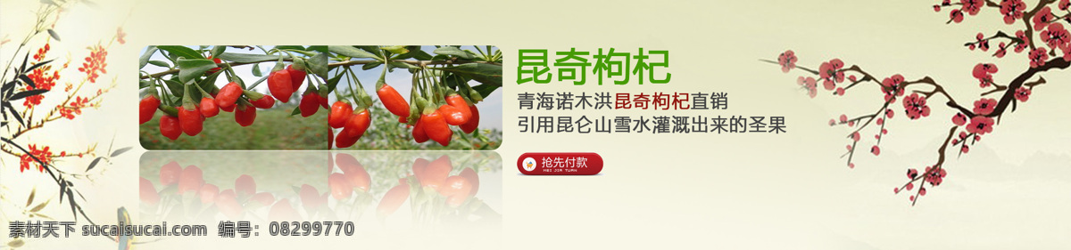 全 屏 首页 轮 播 大图 促销 海报