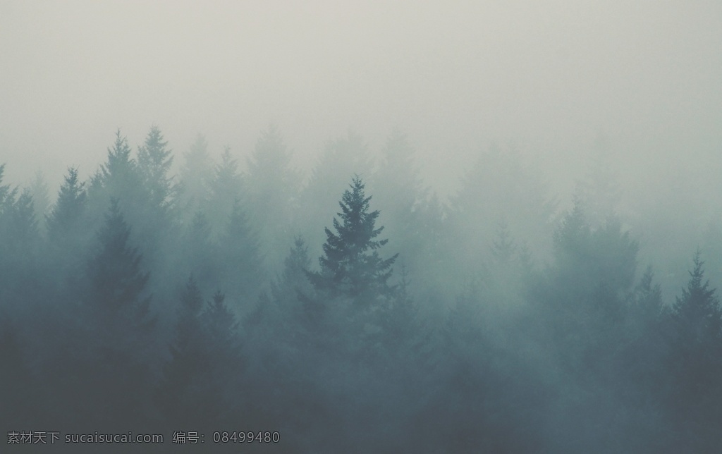 雾气 弥漫 山林 雾气弥漫 大气 大雾 雾天 大雾天 树林 森林大雾 树林大雾 雾中森林 雾中树木 雾中花草 雾中草木 仙境 雾气仙境 弥漫雾气 自然景观 自然风景