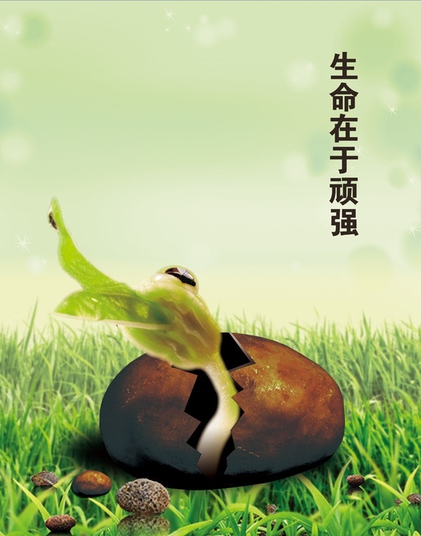 顽强的生命 嫩芽 发芽 绿草地 生命 欣欣向荣 小草 绿地 田野 背景素材 分层 源文件