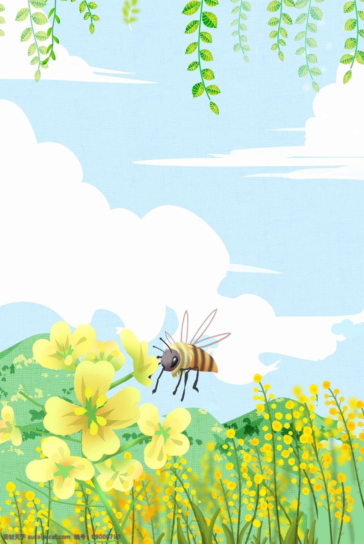 小 清新 蜜蜂 油菜花 背景 小清新 水彩 花朵 花海 春季 春游