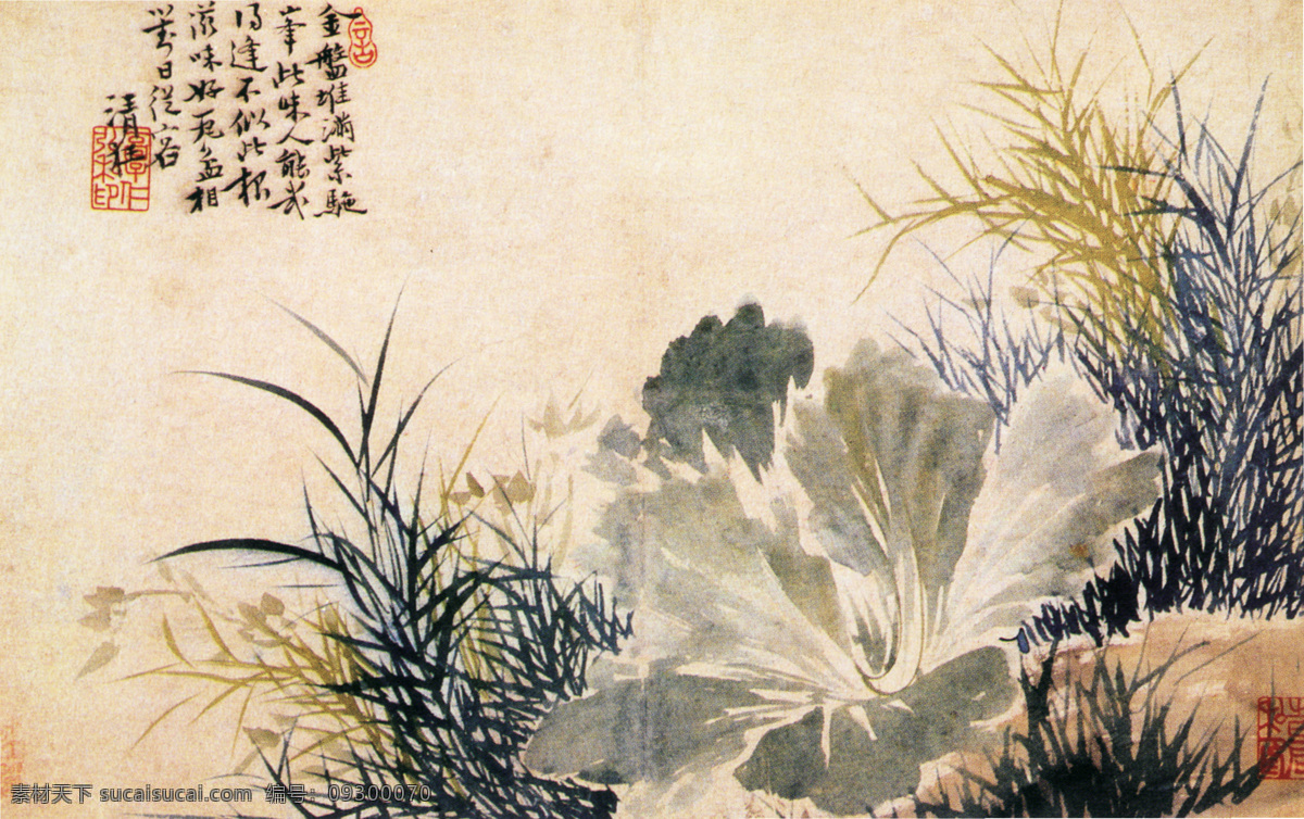中国 花鸟画 名家 郭 诩 真迹 杂 画图 芦 塘 芥菜 图 古画 花草 花鸟 书画真迹 杂画图 芦塘芥菜图 中国花鸟画 名家郭诩 册页 纸本 设色 墨笔 花鸟作品 色彩绘写 写意芥菜 文化艺术