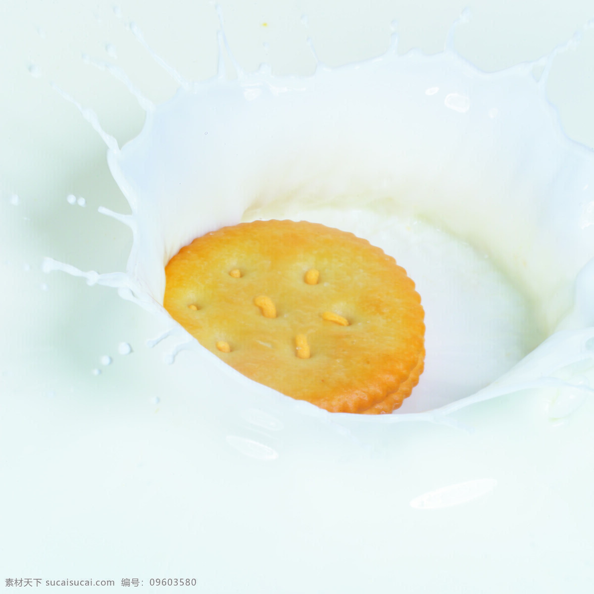 牛奶饼干 饼干 牛奶 奶花 白色