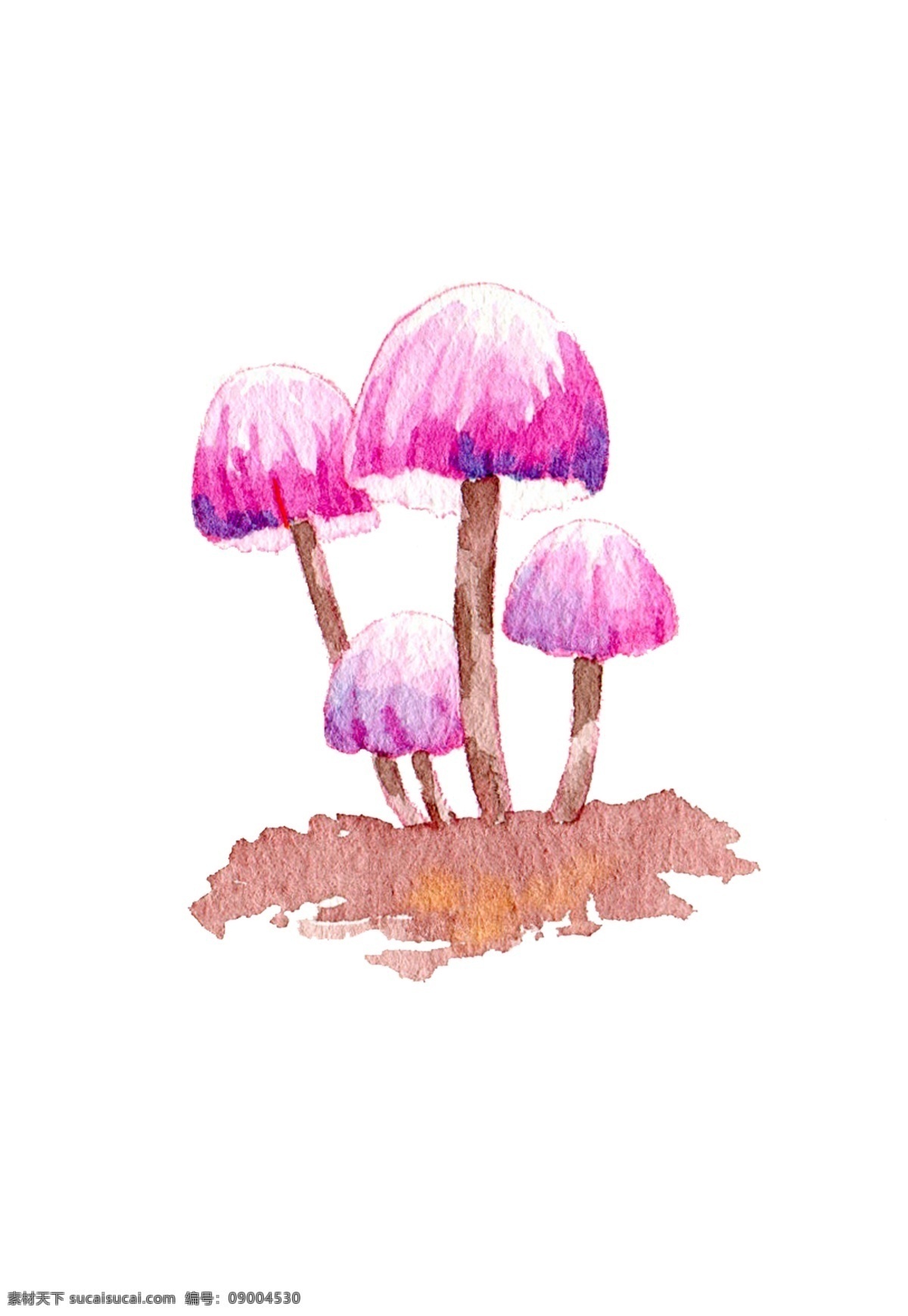 手绘 蘑菇 水彩 秋日 手绘蘑菇 水彩蘑菇 秋日蘑菇 蘑菇插画 食用蘑菇 秋天 秋季 菇类 菌类