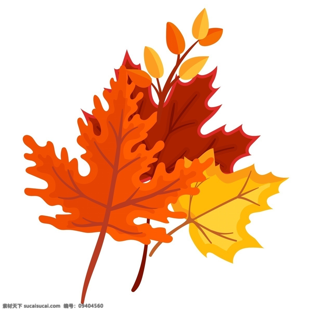 秋季 落叶 植物 枫叶 装饰图案 透明素材 树木 秋叶 清雅