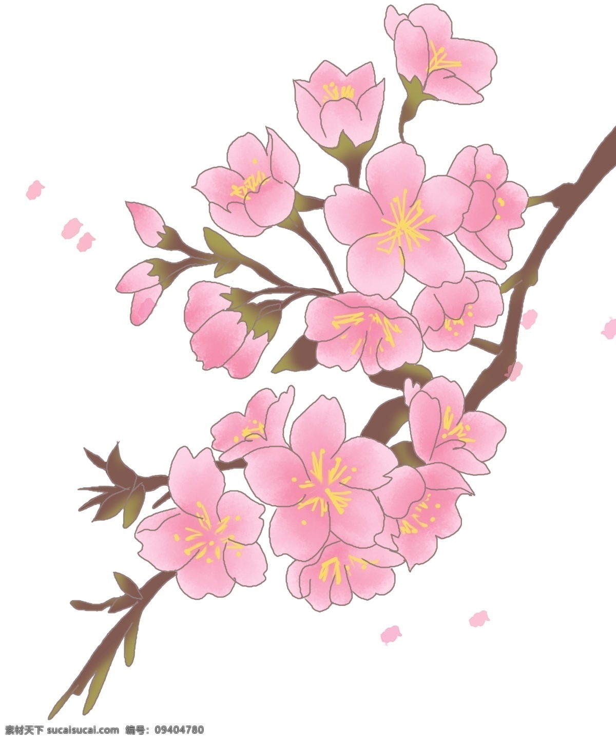 春季 飘荡 樱花 插画 飘荡的樱花 漂亮的樱花 卡通插画 手绘樱花插画 春季樱花插画 美丽的樱花