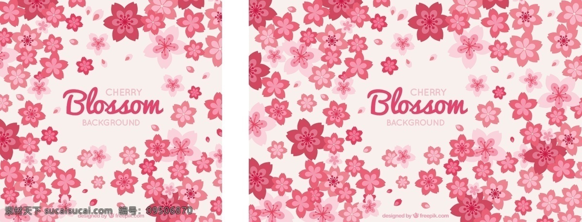 粉红 色调 自然 背景 花卉 花卉背景 粉红色 春季 平面 植物 装饰 樱花 平面设计 自然背景 樱桃 开花
