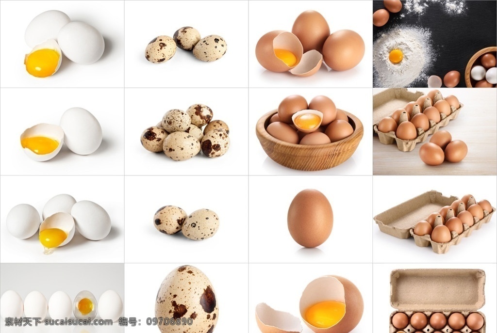 鸡蛋 鹌鹑蛋 蛋壳 鸡蛋盒 鸡蛋效果图