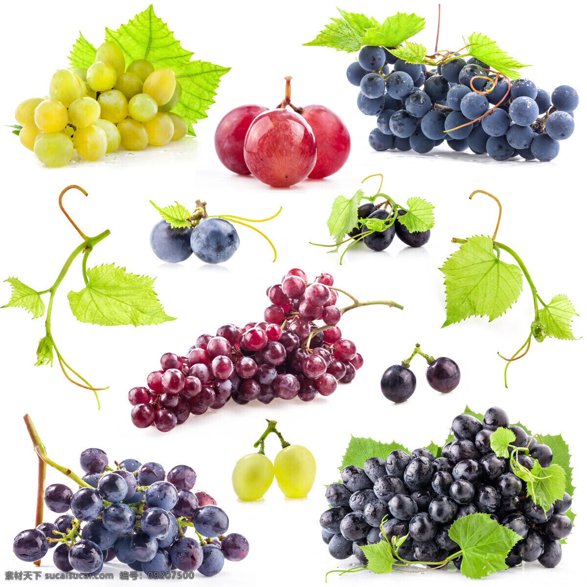 各种 品种 葡萄 提子 水果 新鲜水果 食物 餐厅美食 水果摄影 蔬菜图片 餐饮美食