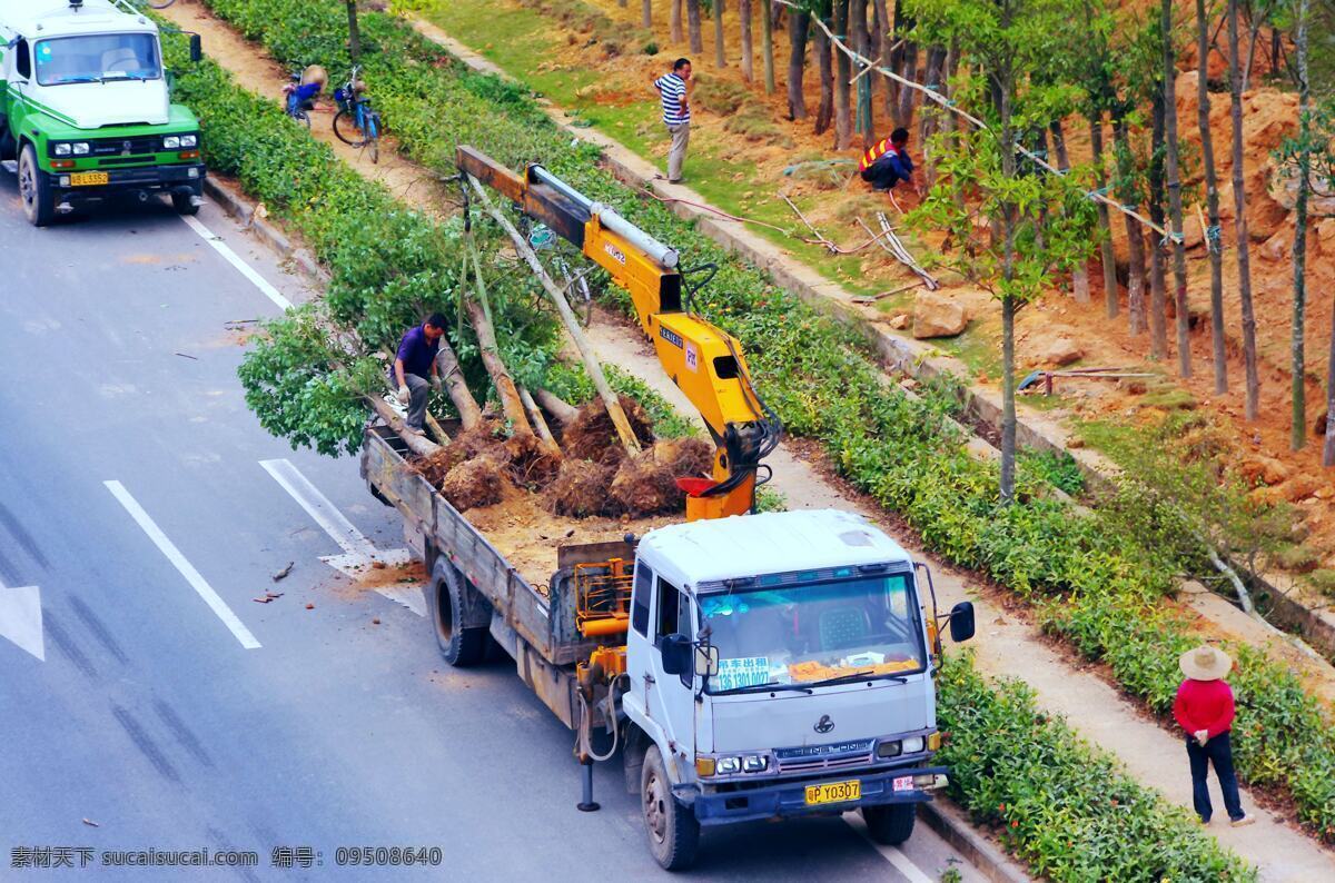 城市绿化 大卡车 工业生产 绿化带 树木 现代科技 植树 交通建设 干道绿化 大树移植 道路排水沟 绿化车 吊装机 绿化工