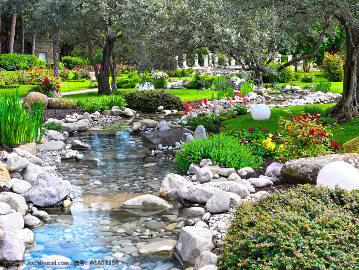美丽小溪风景 园艺风景 园艺植物 植物花卉 美丽鲜花 草地 草坪 自然风景 自然景观 黑色