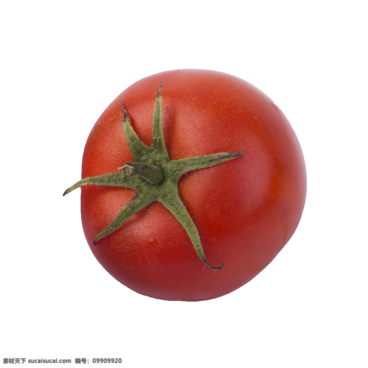 番茄 免 抠 大番茄 新鲜的番茄 新鲜 有营养的蔬菜 好吃的蔬菜 需要 薄 皮 蔬菜