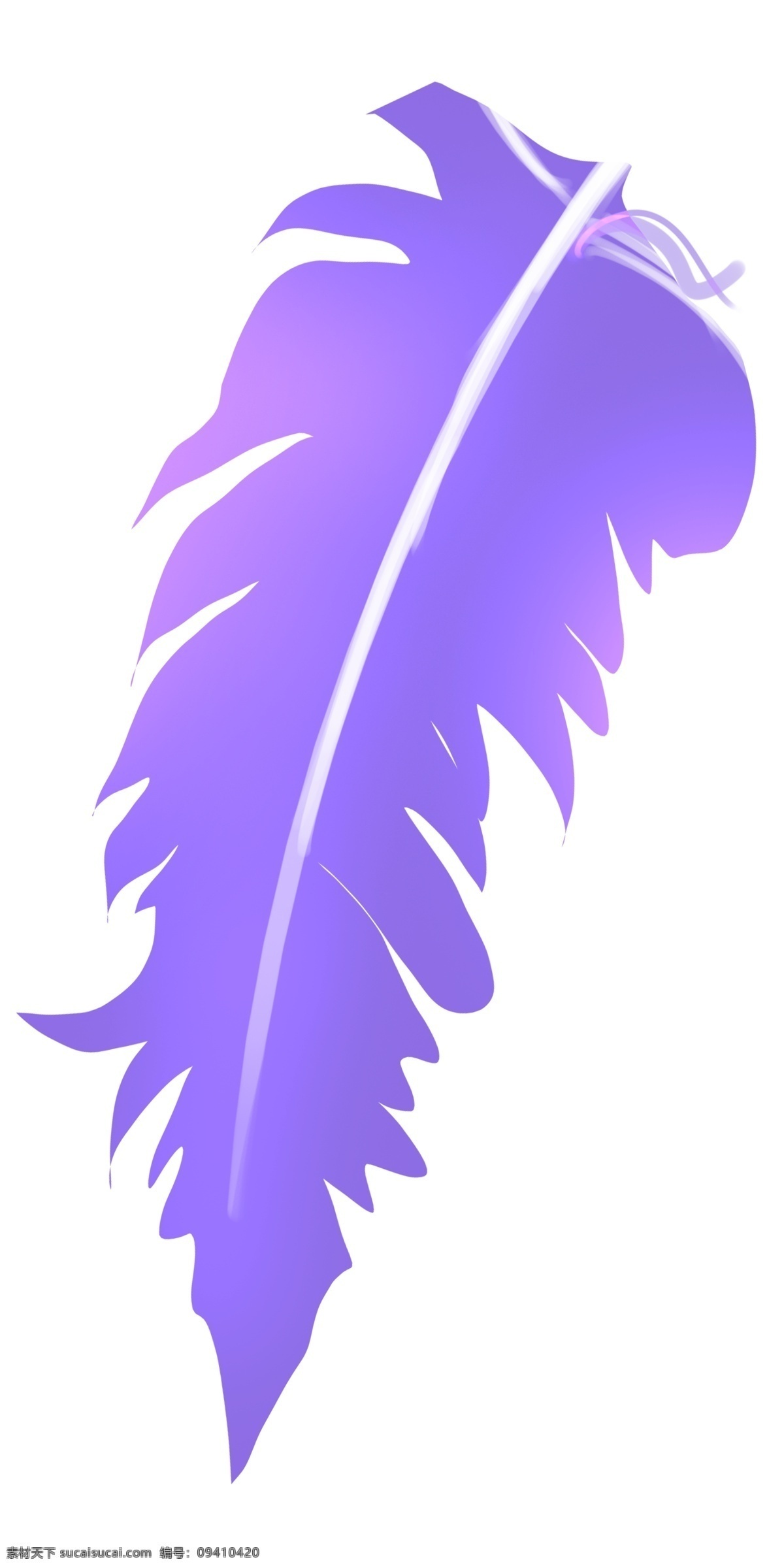 紫色 弯曲 羽毛 水彩