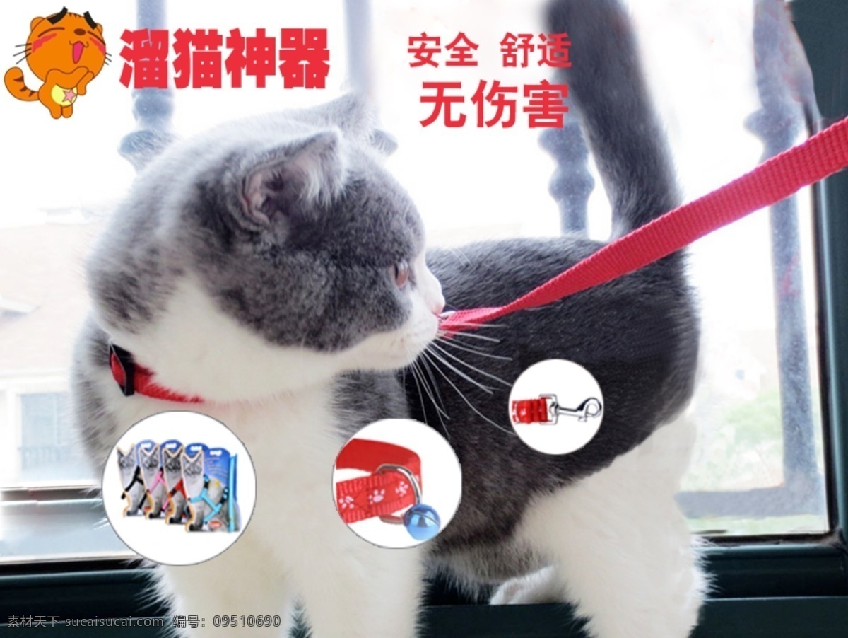 猫绳 溜猫 淘宝主图 白色