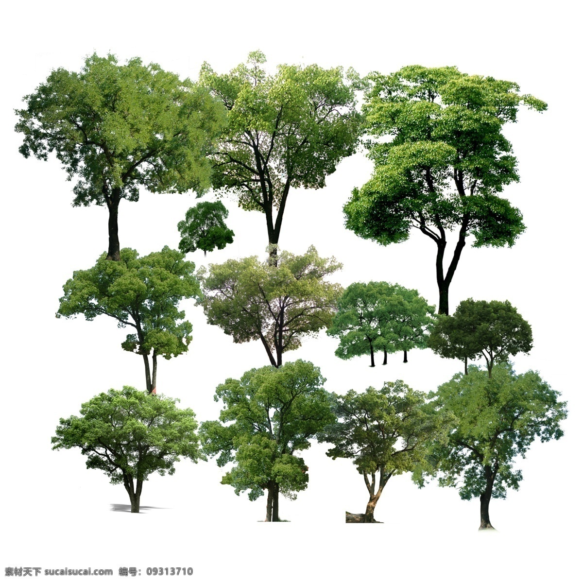 树 景观植物 景观 植物 分层树 绿化 绿化树 观赏树 观赏 绿化带 花 分层花 绿化花 观赏花 景观花 盆景 分层盆景 绿化盆景 观赏盆景 景观盆景 盆栽 分层盆栽 绿化盆栽 观赏盆栽 景观盆栽 小树 分层绿化树 分层景观树 分层景观花 分层绿化盆栽 分层景观盆景 分层绿化带