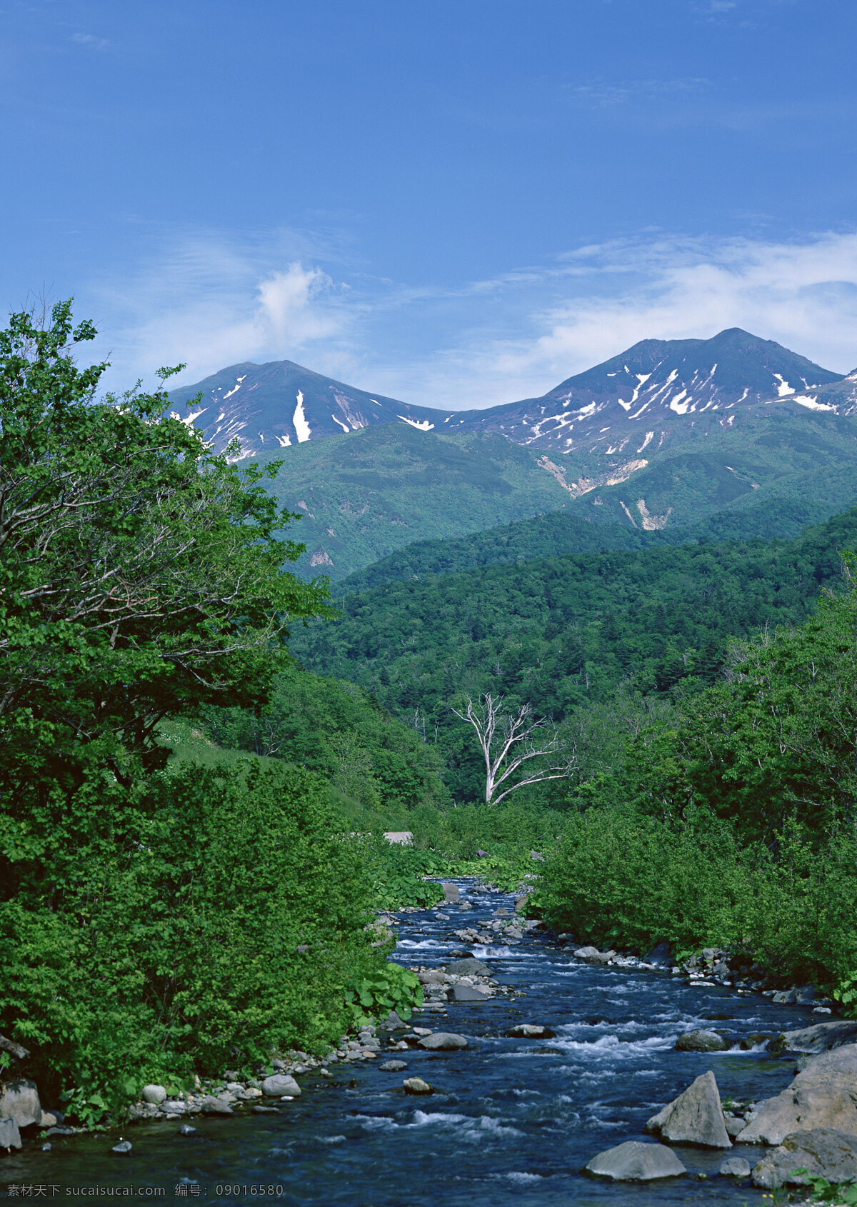 美丽雪山小溪 美丽风景 自然风景 风景摄影 大自然 美景 景色 山水风景 树林 雪山 山峰 小溪 自然景观 黑色