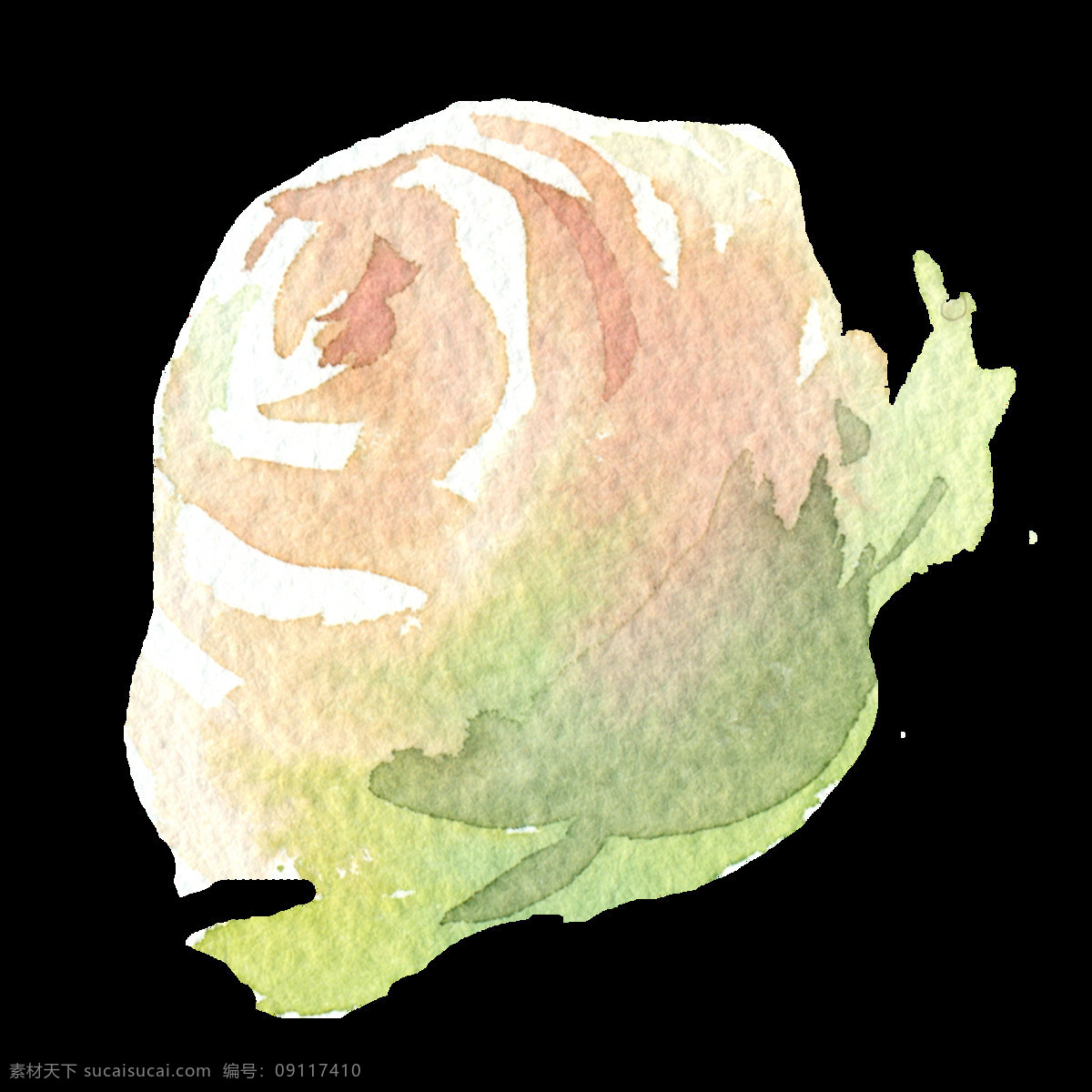 手绘 朵 香槟 玫瑰 透明 白色 层次分明 粉红色 绿色 免扣素材 水彩 透明素材 渲染 装饰图案