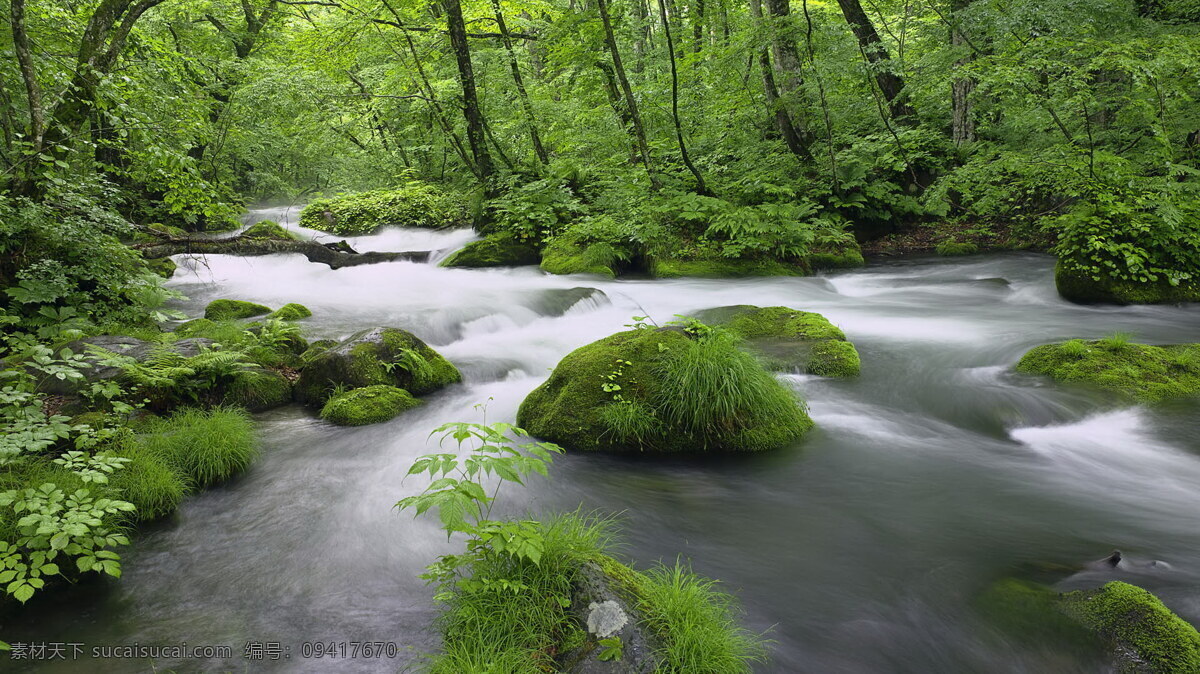 山间 溪水 树木 风景 生活 旅游餐饮