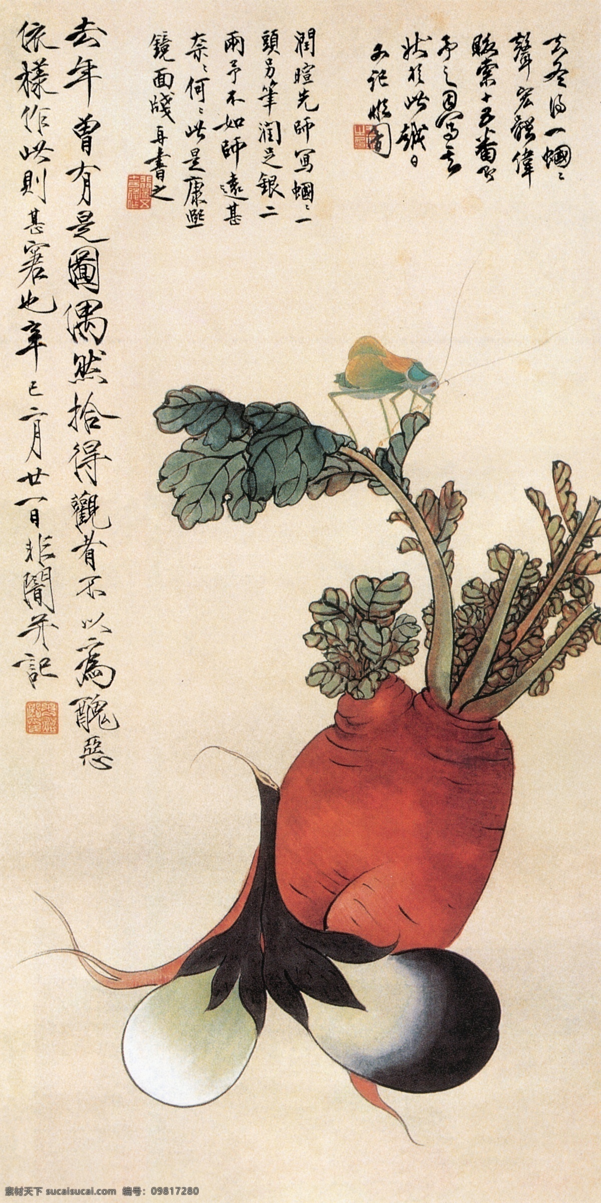 萝卜蝈蝈 萝卜 心里美 蝈蝈 茄子 蔬菜 工笔 于非闇 国画 绘画书法 文化艺术 白色