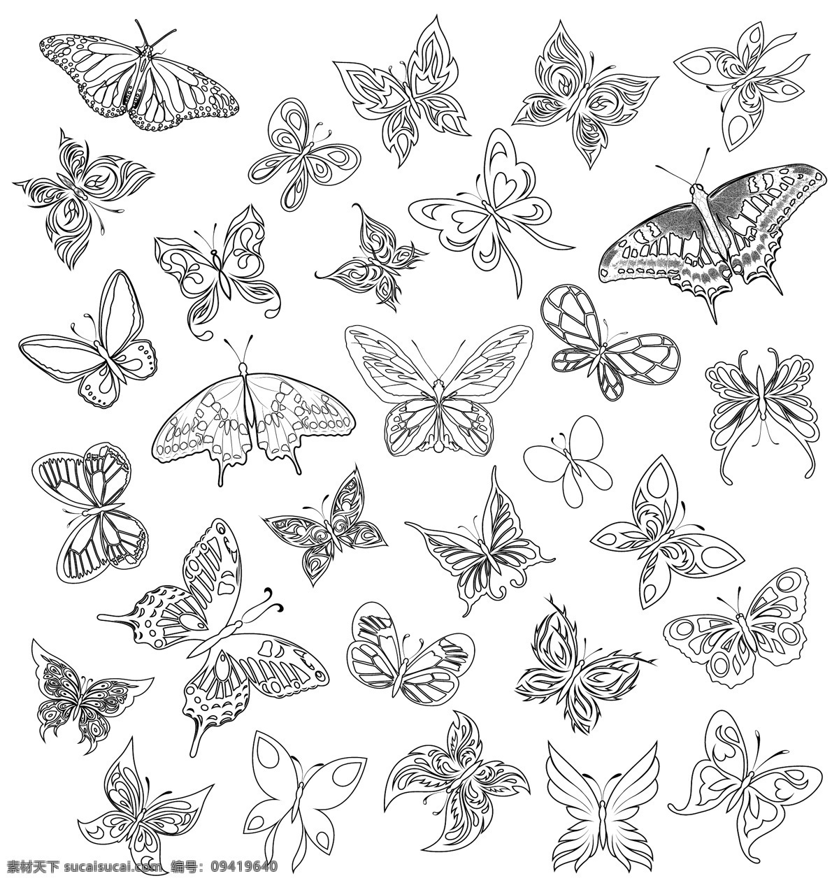 各种蝴蝶矢量 蝴蝶 品种 品种的蝴蝶 矢量 多种多样 蝴蝶多样 向量的下载 免费 图形 其他矢量图