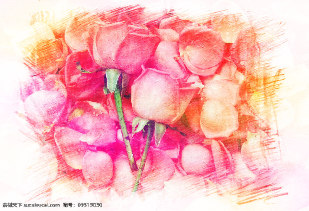 玫瑰 粉玫瑰 绘画书法 铅笔画 素描 文化艺术 玫瑰设计素材 玫瑰模板下载 蜡笔素描