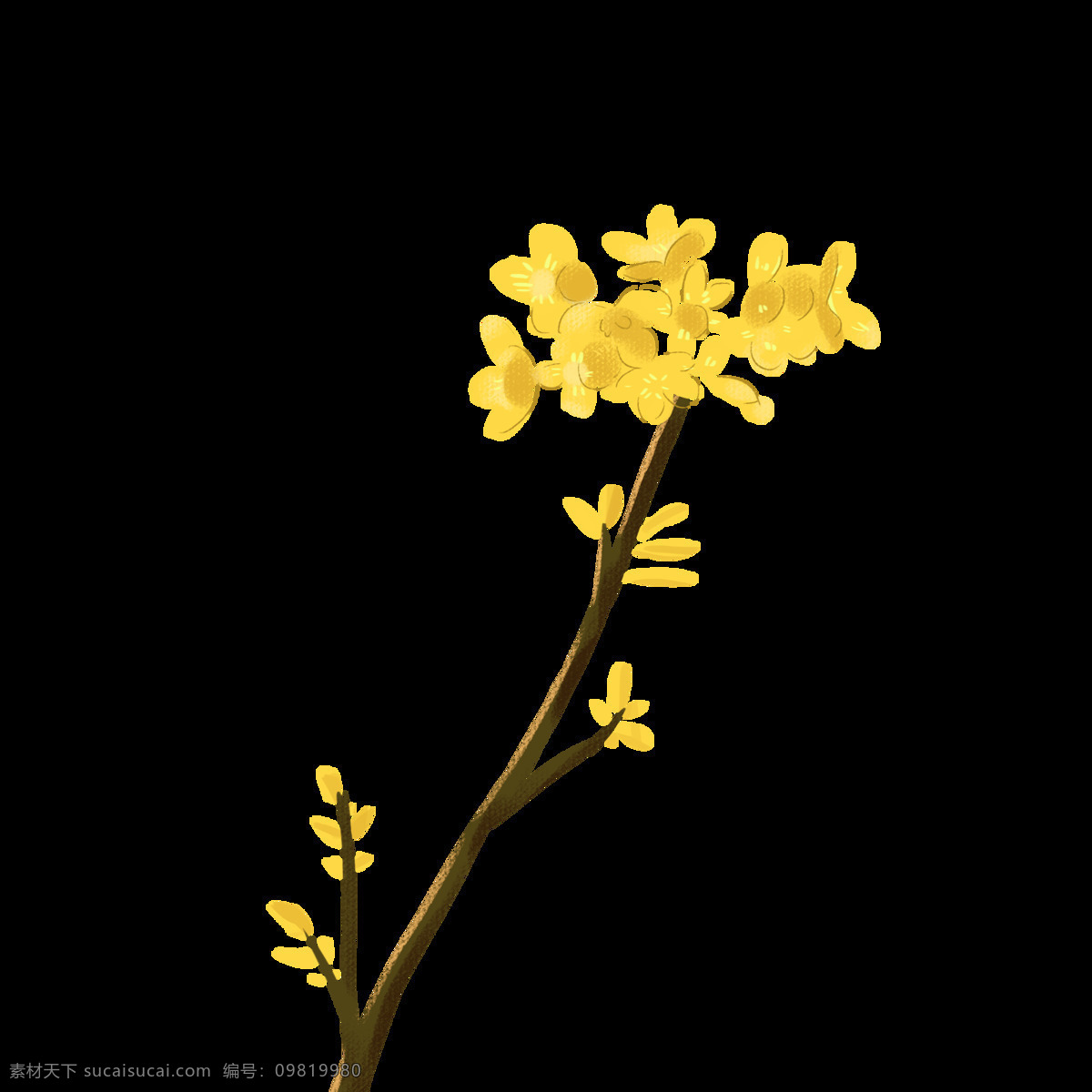 桂花 八月 半 月饼 海报 八月半 png格式