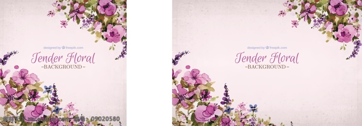 古典 背景 粉红色 花 水彩 粉红色花卉 水彩花卉 花卉素材 花卉装饰 白色