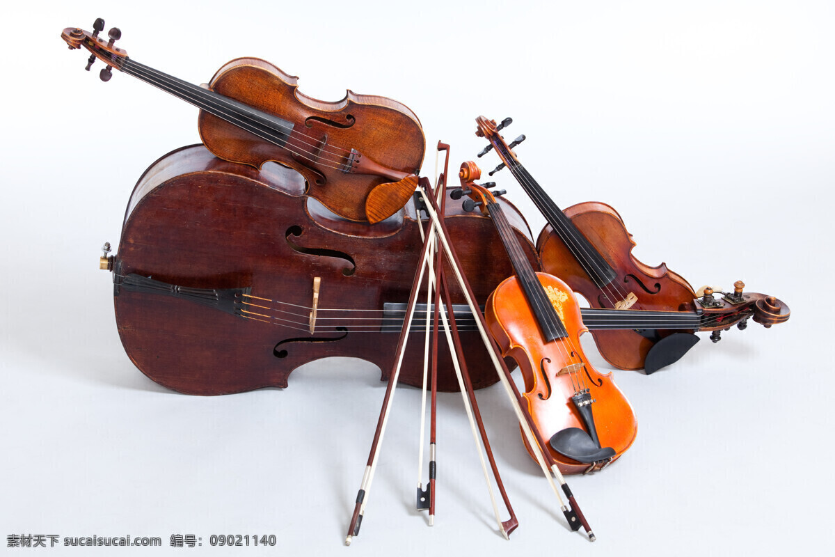 小提琴乐器 小提琴 大提琴 乐器 音乐 音乐器材 影音娱乐 生活百科 白色