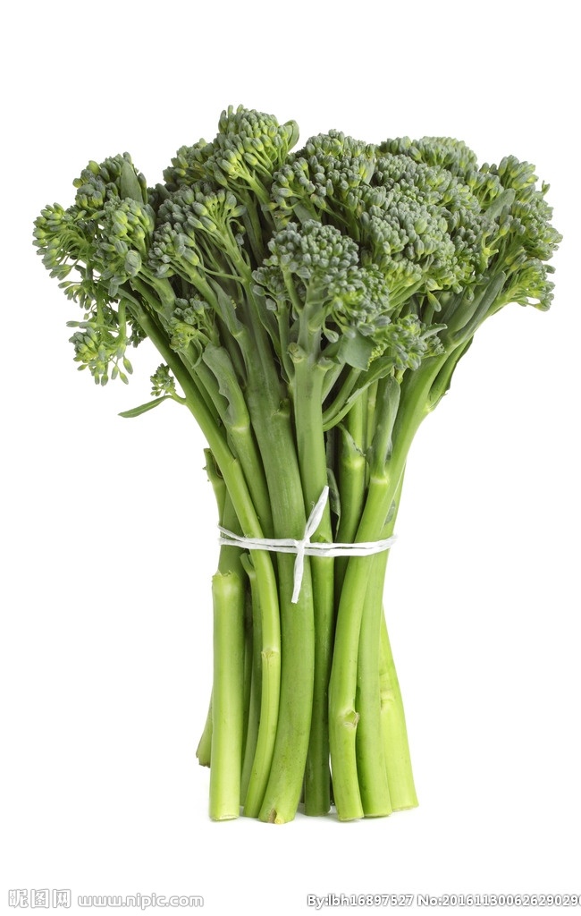 蔬菜 生菜 菜 菜叶 绿色 生物世界