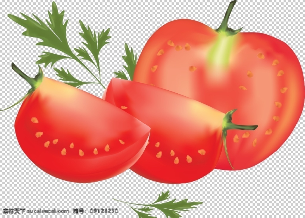 番茄 西红柿 洋柿子 粉柿子 红柿子 png图 透明图 免扣图 透明背景 透明底 抠图 生物世界 蔬菜