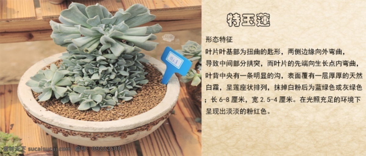 淘宝素材 直通车主图 宝贝主图 淘宝 直通 车主 宝贝 淘宝设计 淘宝模板下载 白色