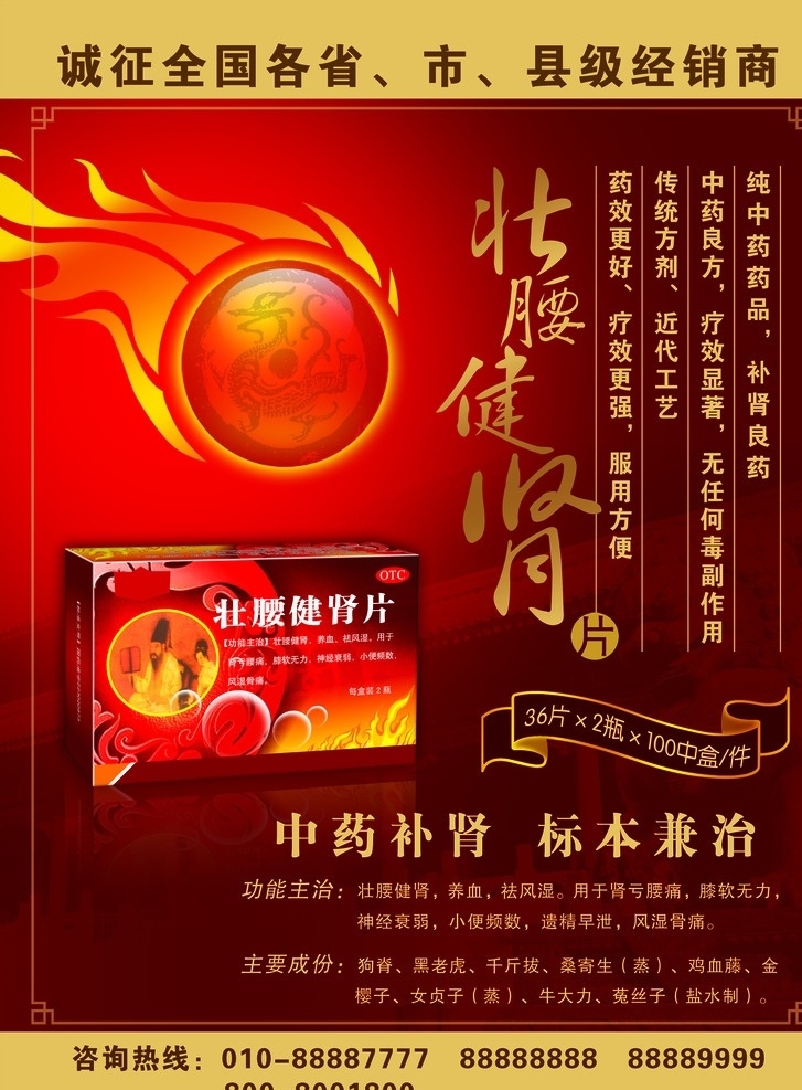壮腰健肾片 药品海报 中药补肾 医疗保健 海报