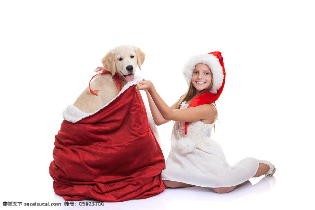 女孩 袋子 里 狗 红色 宠物 圣诞节 生活人物 人物图片