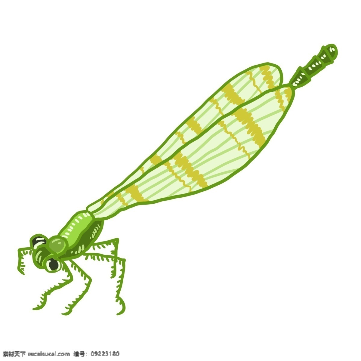 精美 浅绿色 蜻蜓 绿色 昆虫