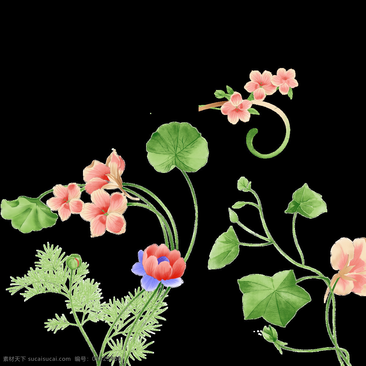 花草素材 花草 绿色 花 藤枝
