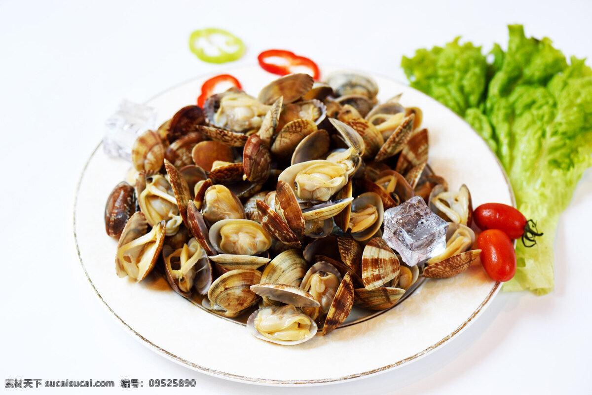 杂色蛤 蛤蜊 花甲 海鲜 海报 水产品 餐饮美食