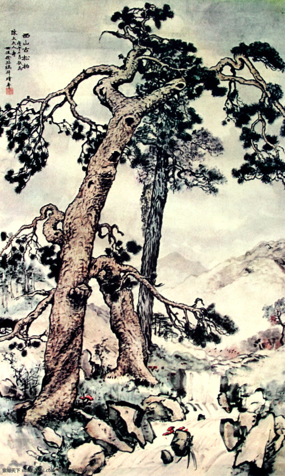 西山古松柏 中国画 设计素材 古树奇石 中国画篇 书画美术 白色