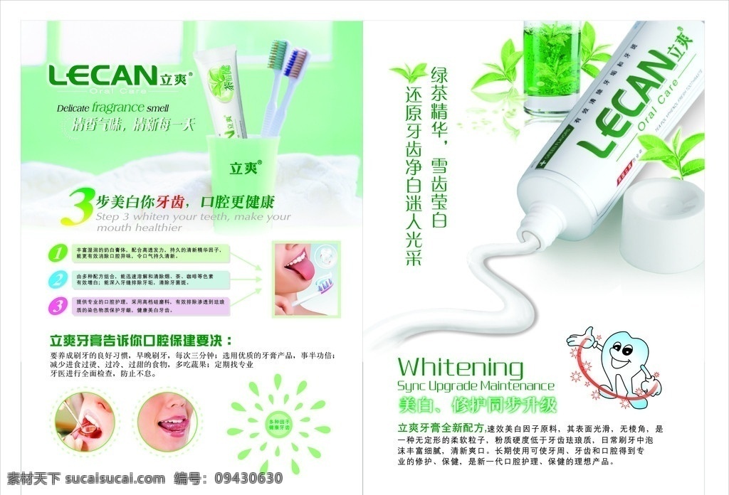 牙膏手册 牙膏 绿色 牙齿 清新 手册设计 效果图 牙刷 画册设计 商标 卡通牙齿 绿茶 杯子 矢量