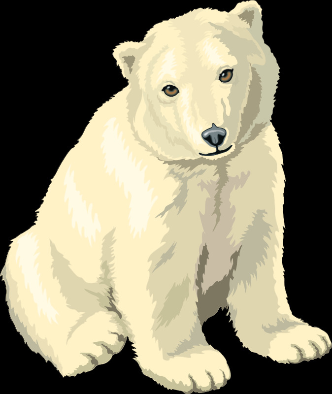 北极 北极熊 矢量艺术 图像 熊 矢量 图形 动画的北极熊 免费 剪贴 画 北极熊的轮廓 艺术片 花纹花边