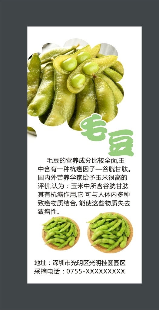 毛豆展板 毛豆 毛豆促销 毛豆广告 毛豆设计 毛豆图片 毛豆素材 毛豆展架 毛豆海报 新鲜毛豆 煮毛豆 卤香毛豆 五香毛豆