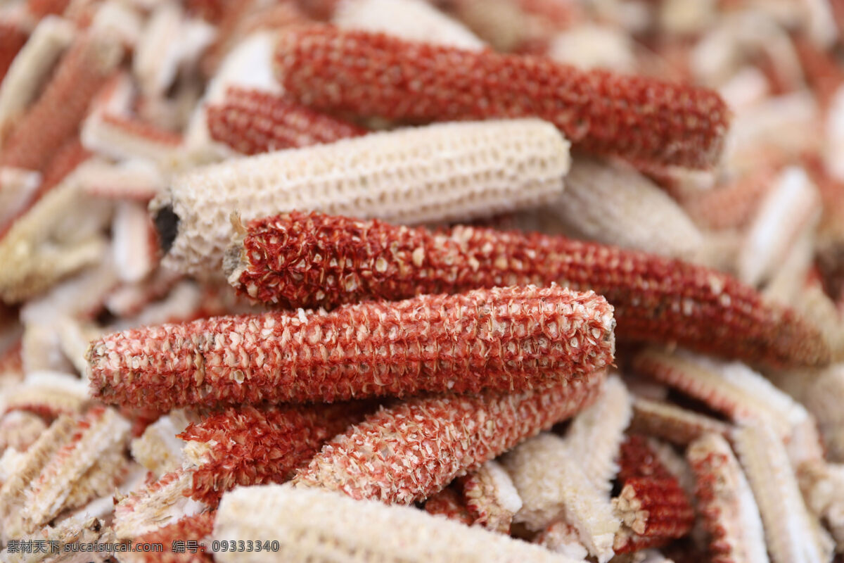 圣泉 集团 玉米芯 玉米 植物秸秆 玉米须 玉米田 生物世界 其他生物