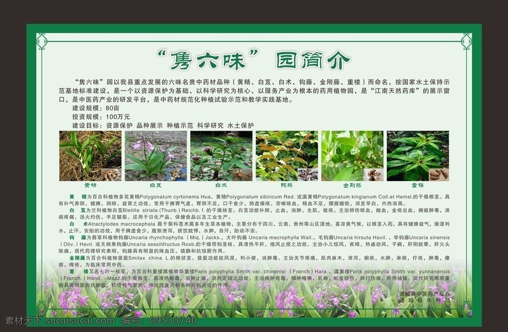 药品简介 药品 中药 医药 简介 药品宣传单 中药宣传单 dm宣传单
