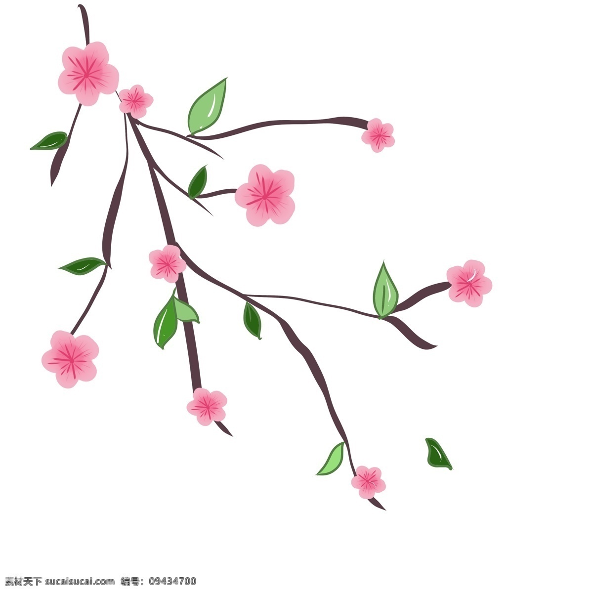 盛开 樱花 花儿 插画 樱花枝 粉色樱花 花朵 盛开的樱花 唯美樱花枝 漂亮的樱花 花儿插图