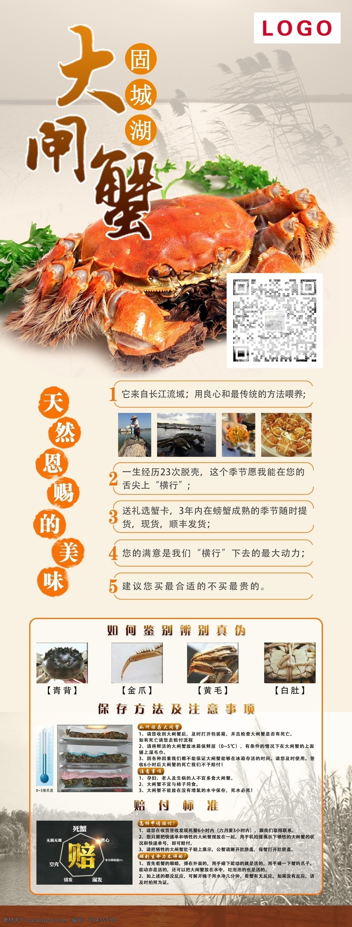 大闸蟹展架 固城湖 大闸蟹 阳澄湖 澄阳湖 x展架 易拉宝 螃蟹 海鲜 淘宝 详情页 白色 模板 橙色