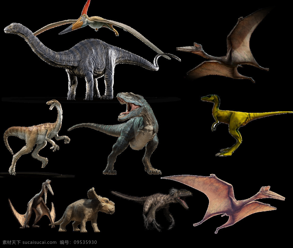 各种 种类 恐龙 透明 装饰 长颈龙 动物 角龙 绝种 免扣素材 透明素材 装饰图片