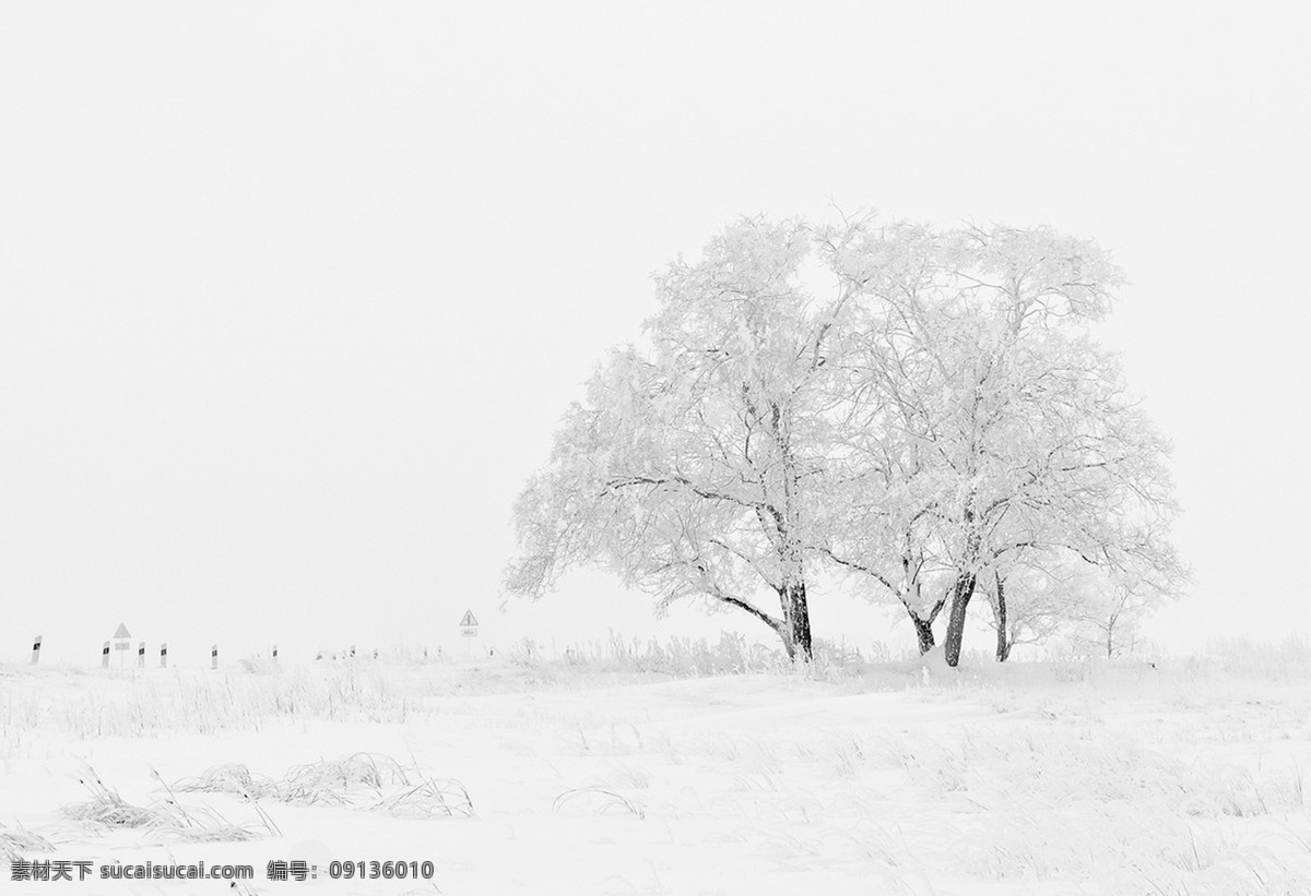 唯美 白色 背景 高清 雪景 背景图片 雪地 里 树 梦幻 图