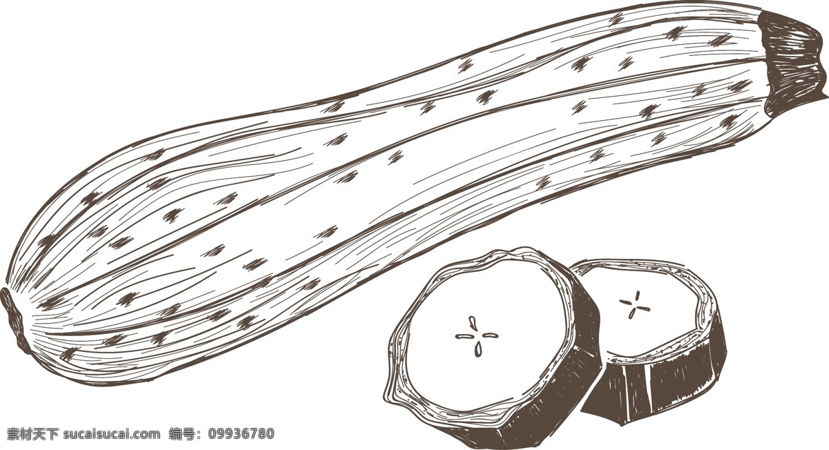 苦瓜 健康 绿色 水果 蔬菜 矢量 卡通 手绘 铅笔画