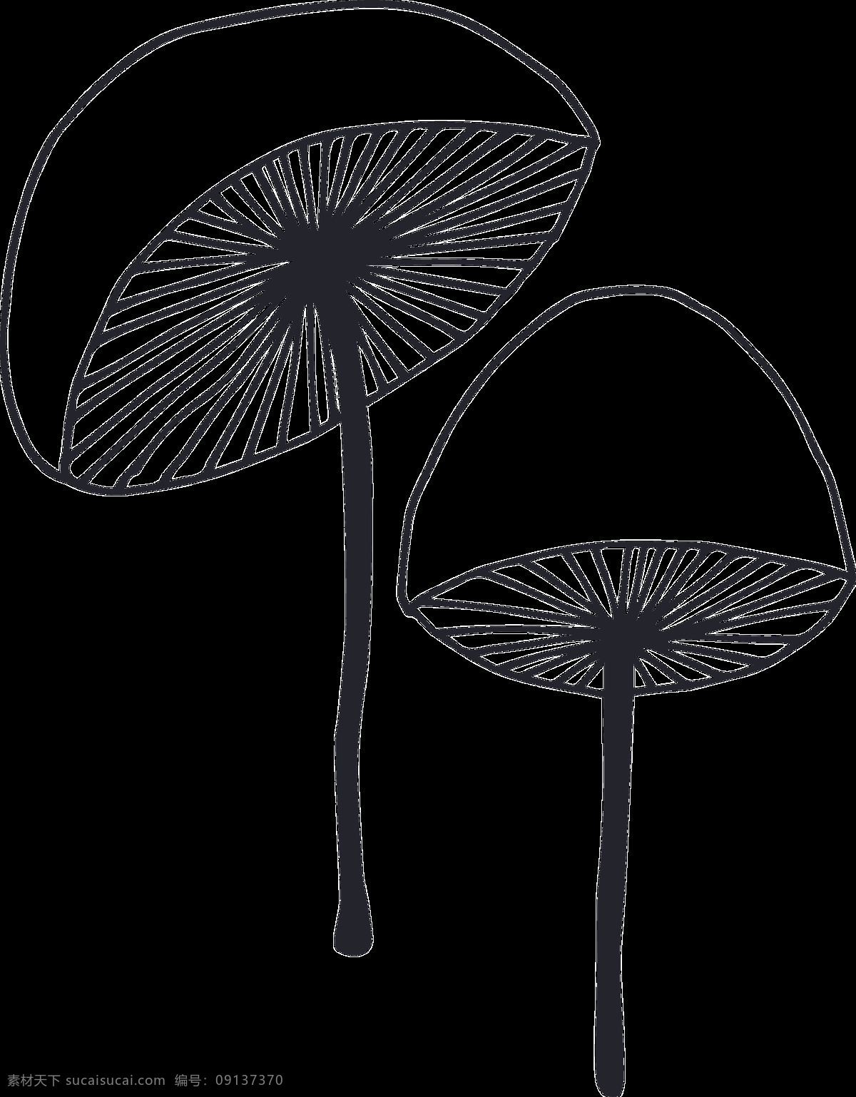 白 顶 蘑菇 卡通 透明 植物 黑色 透明素材 免扣素材 装饰图案