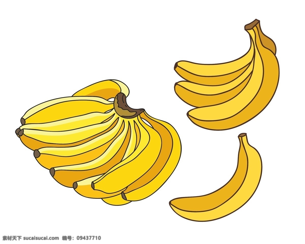 香蕉 矢量 水果 植物 果肉 切开的果 生物世界